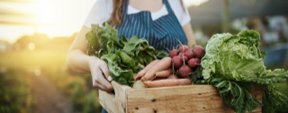 Farmer holding a crate of freshly harvested vegetables
